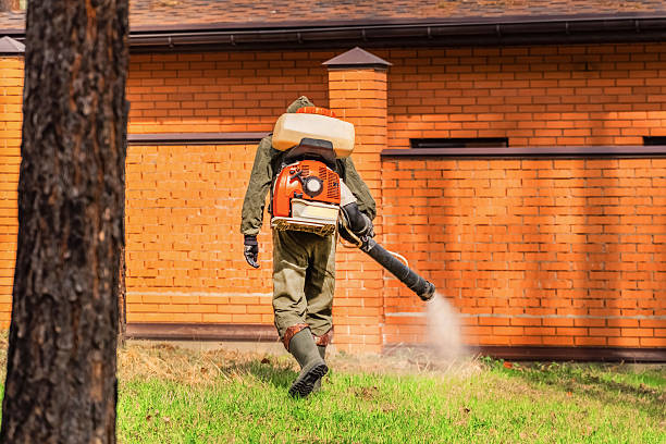 Top rated local Termite Control specialists in Fountain, CO